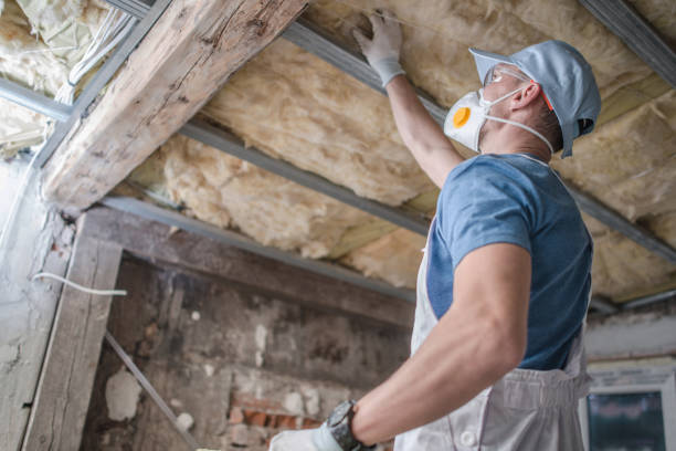 Types of Insulation We Offer in Thomasville, AL