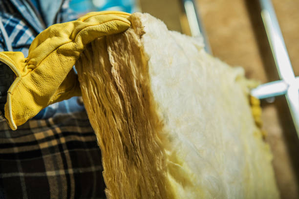Best Cellulose Insulation in Thomasville, AL